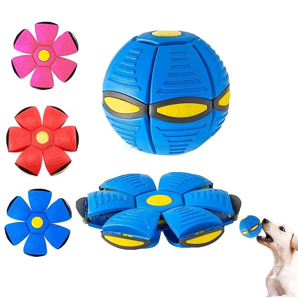 Bola Maluca Disco Voador Brinquedo Pet Cachorro Bola Mágica