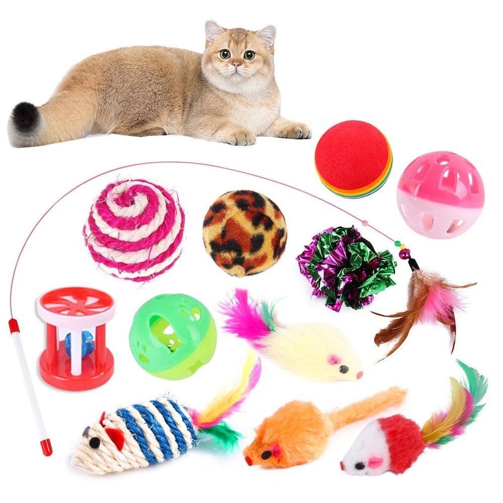 Kit 21 Brinquedos para Gatos Ratinho Bolinha Varinha Gatinho