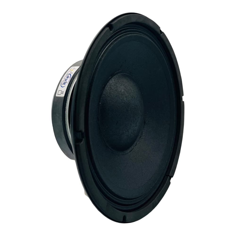 Alto Falante Qvs 10 250rms Woofer Medio Grave 10mgs250 Line Array Som Automotivo Som Profissional Caixa Ativa Som de Igreja