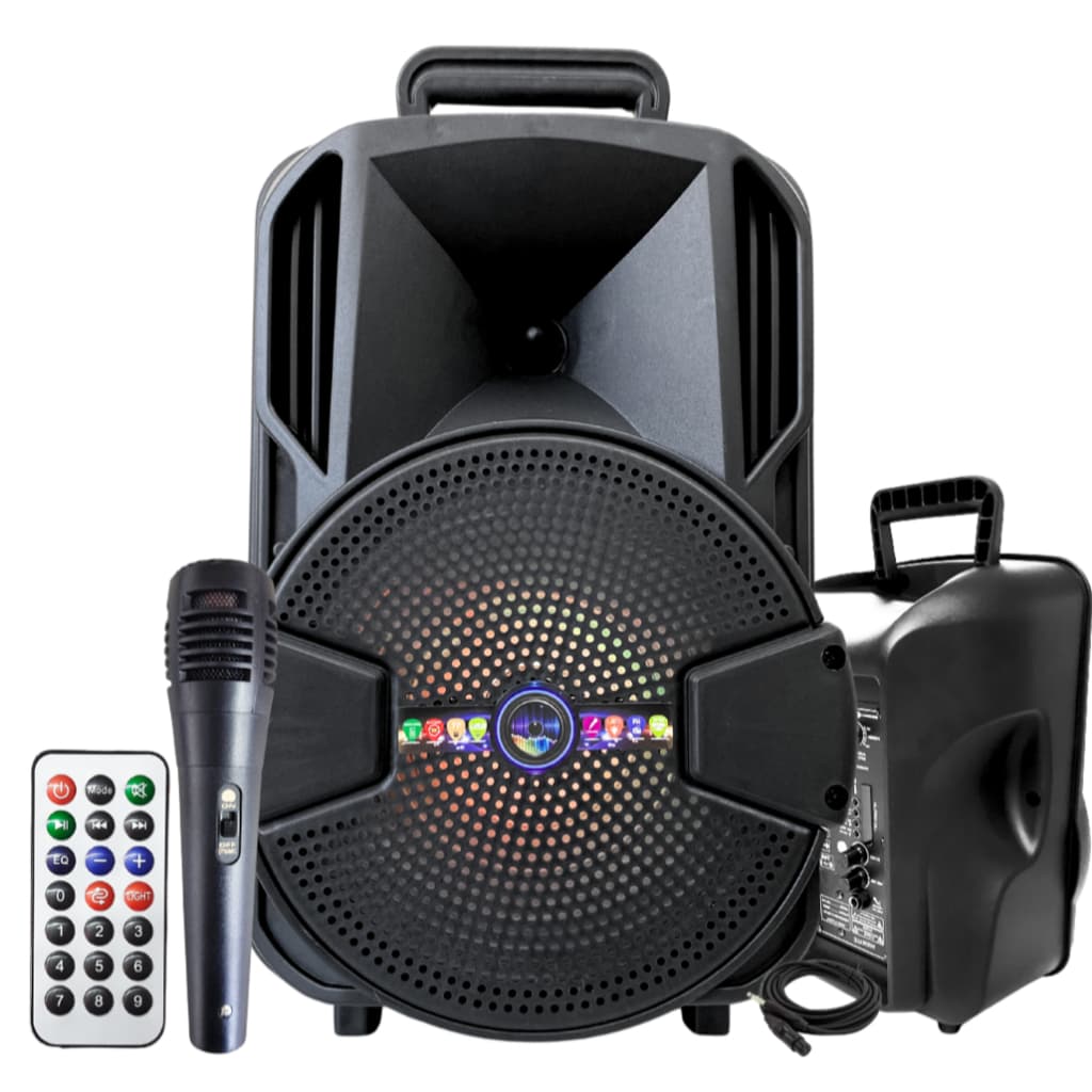 Caixa de Som Potente Grande com Microfone P10 FM Pendrive 1000w pmpo